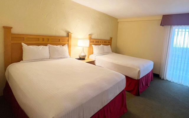 Standard Quadruple room with view