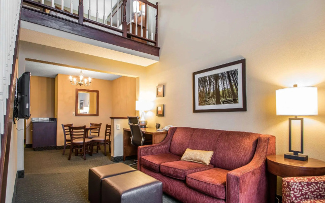 1 Bedroom Suite