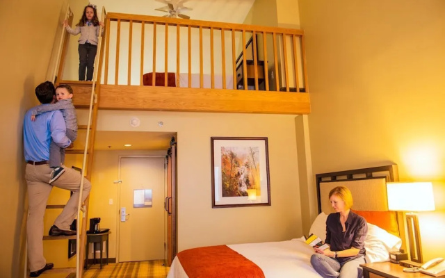 Standard Apartment