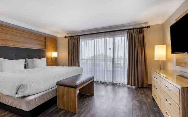 Standard Double room with balcony and with park view