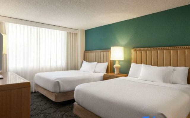 2 Bedrooms Double Suite