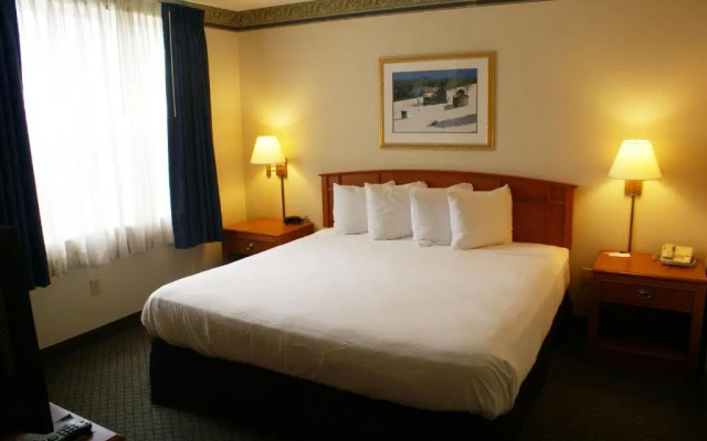 1 Bedroom Double Suite