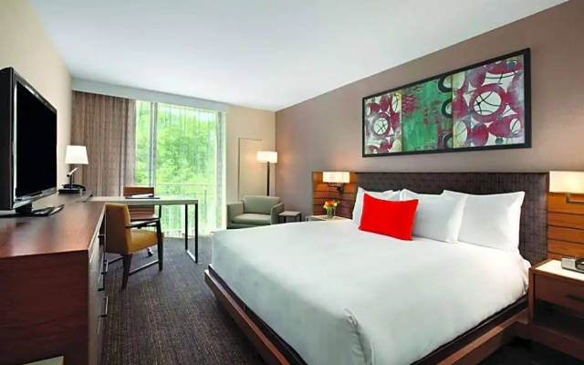 1 Bedroom Double Suite