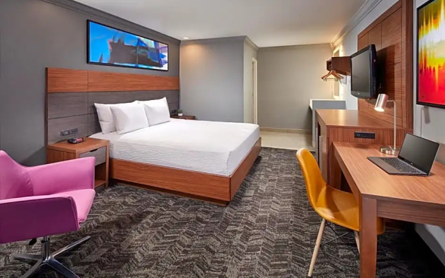 Double Suite