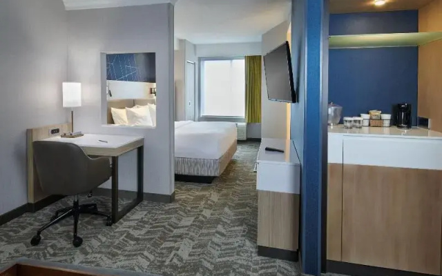 1 Bedroom Suite