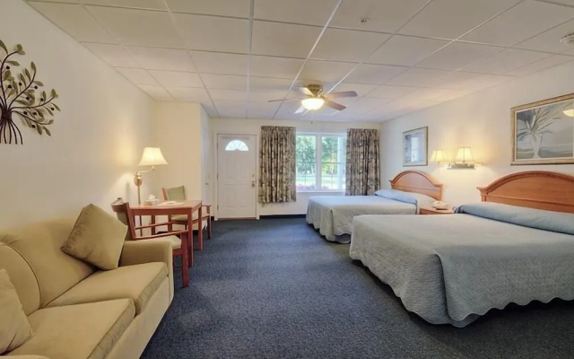 Standard Quadruple Basement room