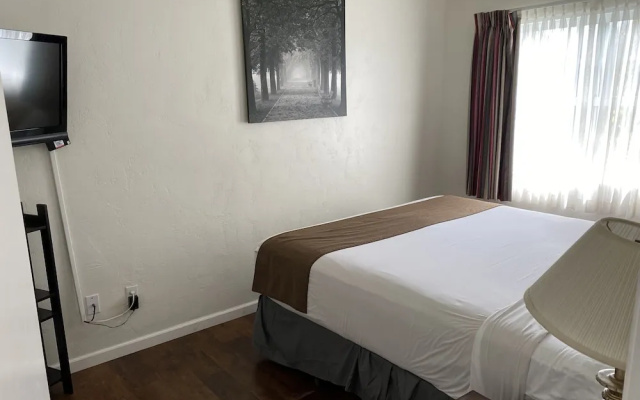 Standard Suite
