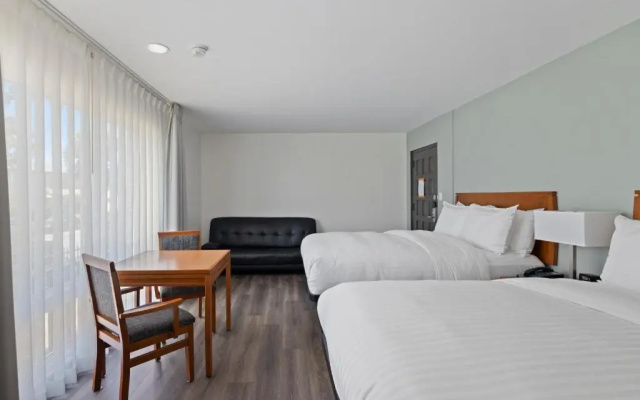 Suite