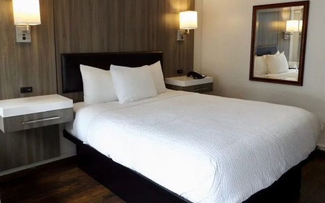 1 Bedroom Double Suite