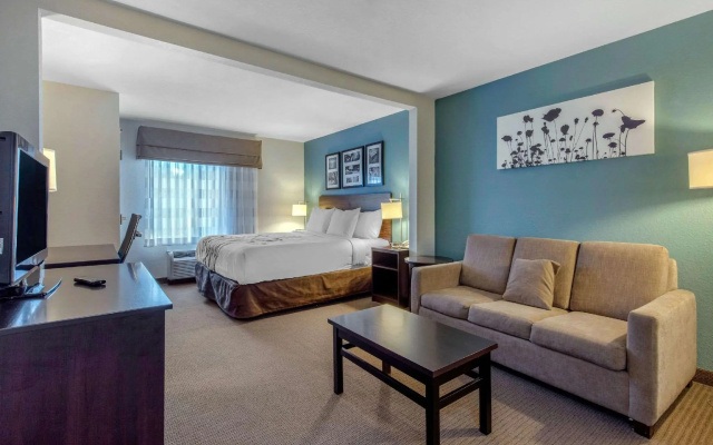 1 Bedroom Suite