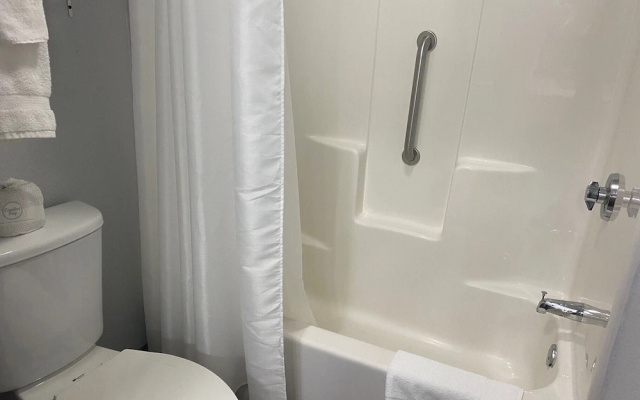 1 Bedroom Suite