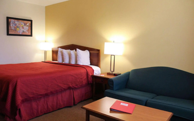 1 Bedroom Suite