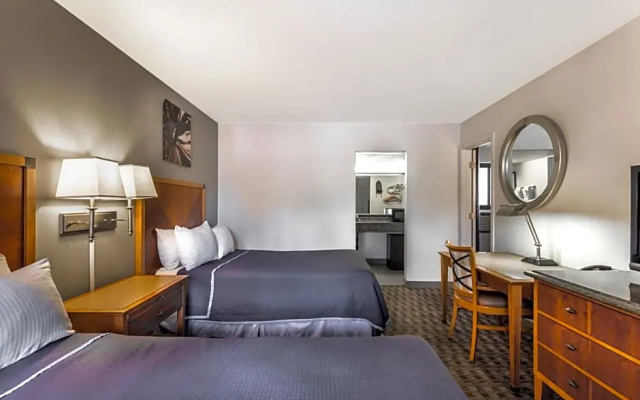 Superior Suite