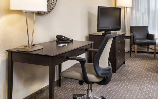 1 Bedroom Suite