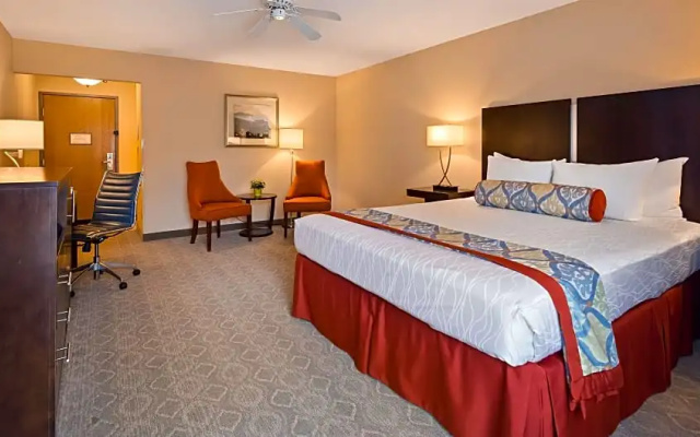 1 Bedroom Quadruple Suite