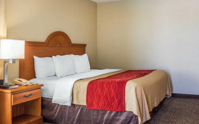 1 Bedroom Double Suite