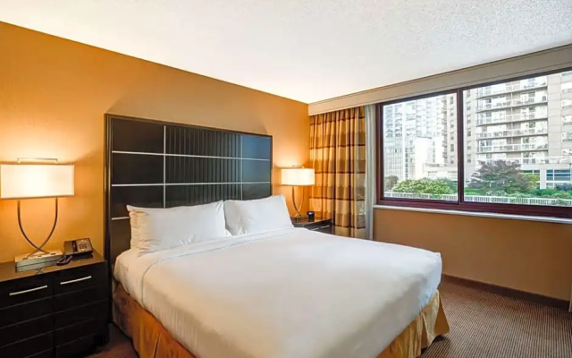 1 Bedroom Suite with city view