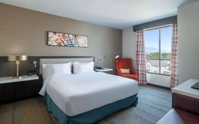 1 Bedroom Suite