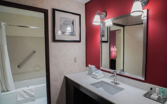 1 Bedroom Executive Suite