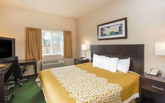 1 Bedroom Double Suite