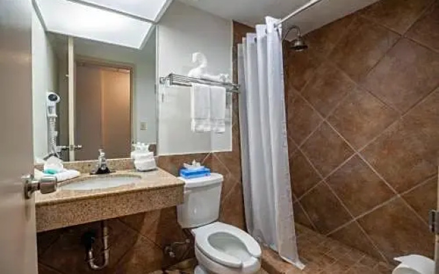 Standard Double room with pool view
