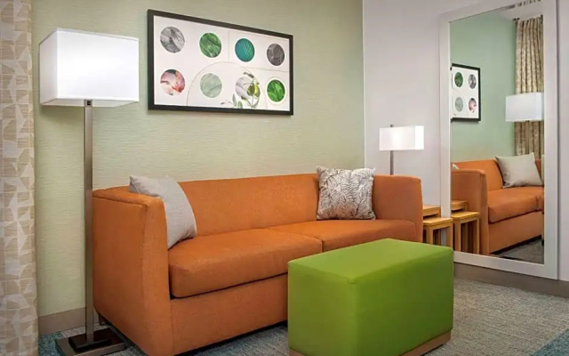 1 Bedroom Suite