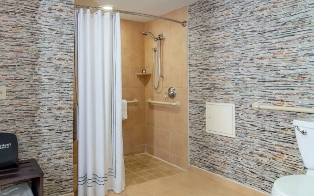 Deluxe Accessible Double room
