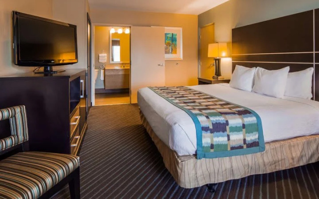 Economy room