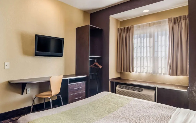 Standard Double Suite