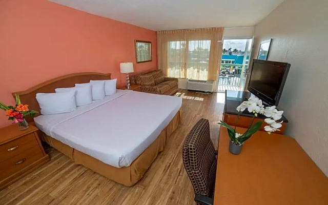 Standard Double room with pool view