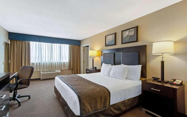 1 Bedroom Double Suite