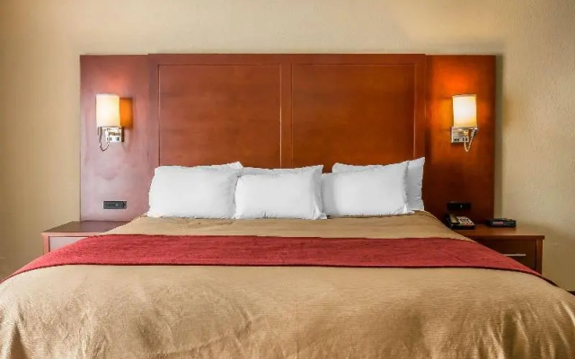 Standard Suite