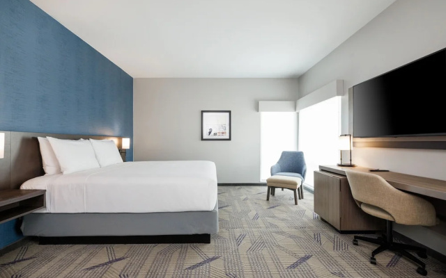 1 Bedroom Suite