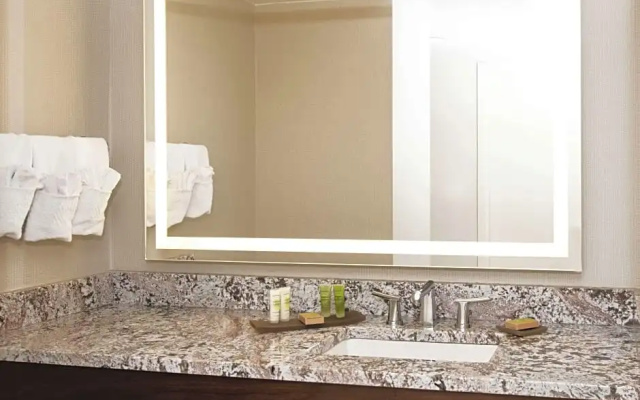 1 Bedroom Presidential Double Suite