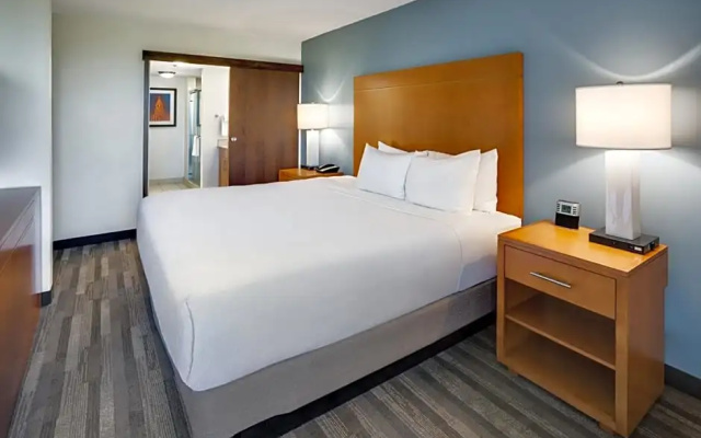Double Studio Suite