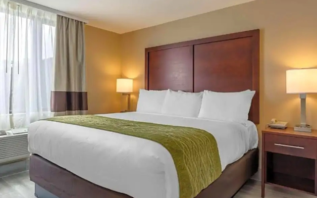 Standard Double room with city view