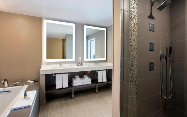 1 Bedroom Presidential Double Suite