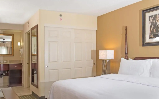 1 Bedroom Suite