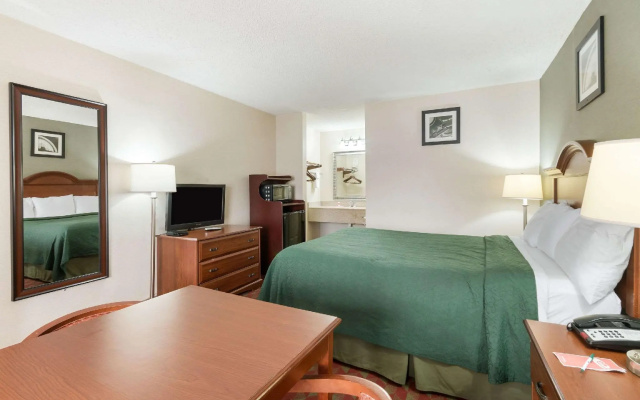1 Bedroom Standard Double room