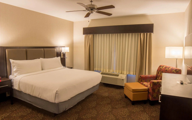 1 Bedroom Suite