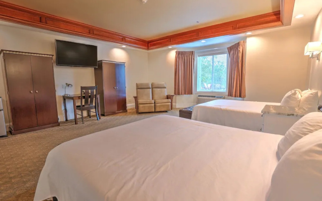 Standard Quadruple Suite