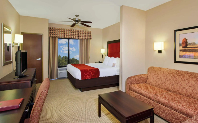 1 Bedroom Suite