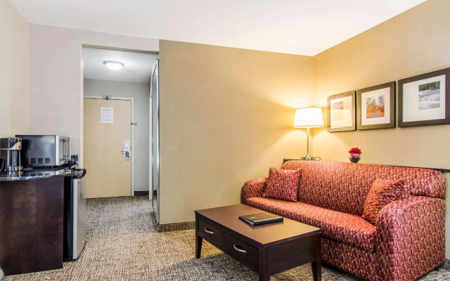 1 Bedroom Suite