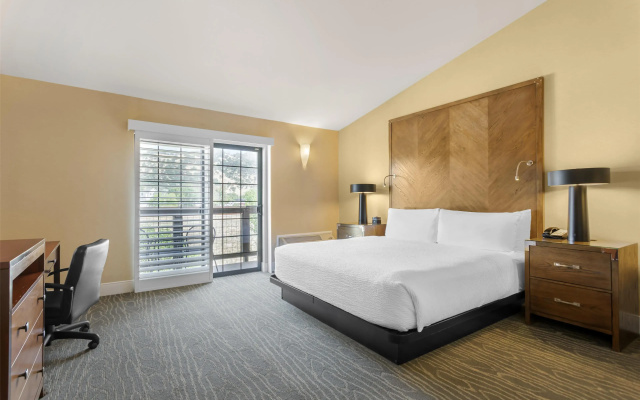 Standard Double room with balcony and with mountain view