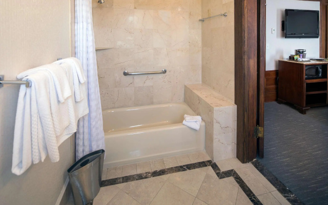 1 Bedroom Deluxe Double Suite