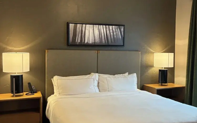 1 Bedroom Suite with balcony