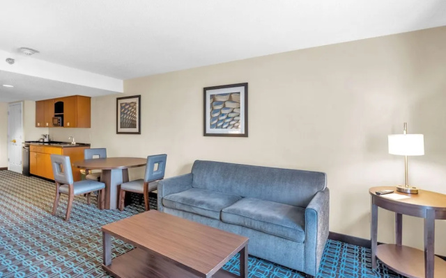 1 Bedroom Suite