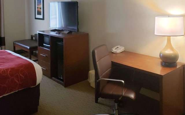 1 Bedroom Suite