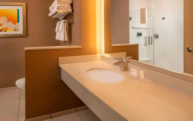 Executive Double Suite