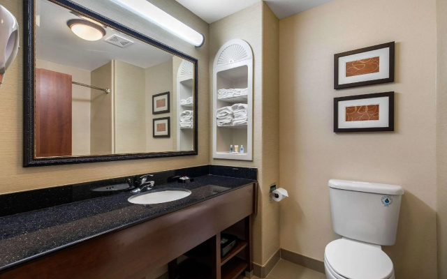 1 Bedroom Suite